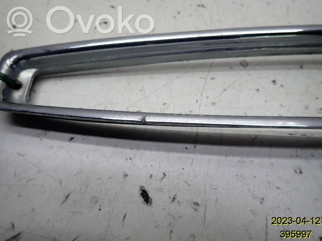 Rear/tail light trim molding