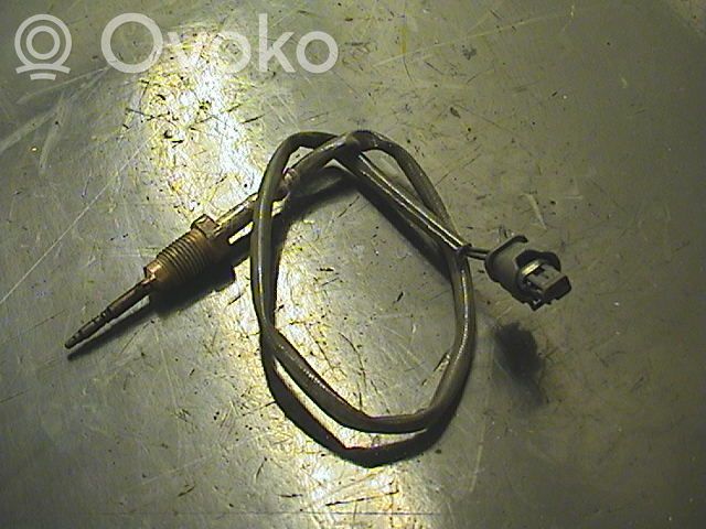 Abgastemperatursensor   13627806254