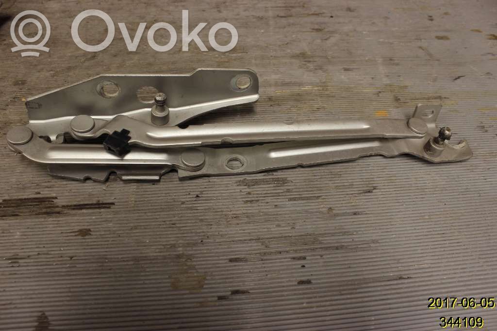 Volvo S80 Aizmugurējā pārsega eņģe (-ess) 
