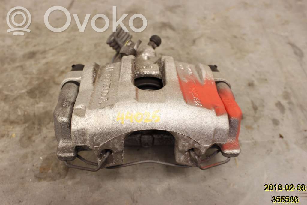 Takajarrusatula   36001765