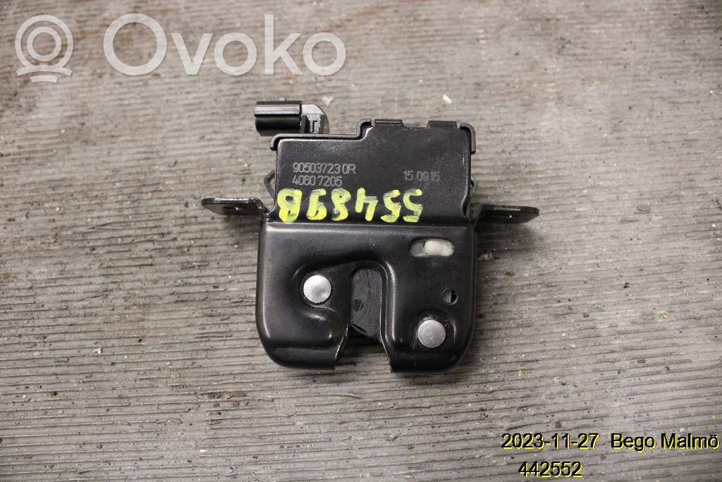 Dacia Duster Loading door lock 