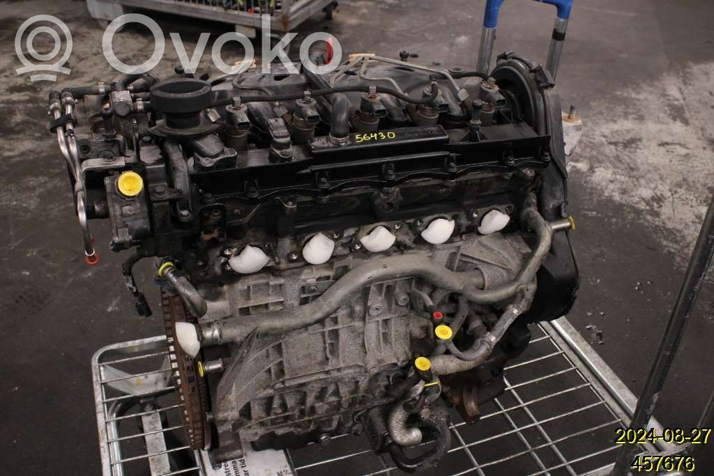 Variklis   36050391,6906155,D5244T8
