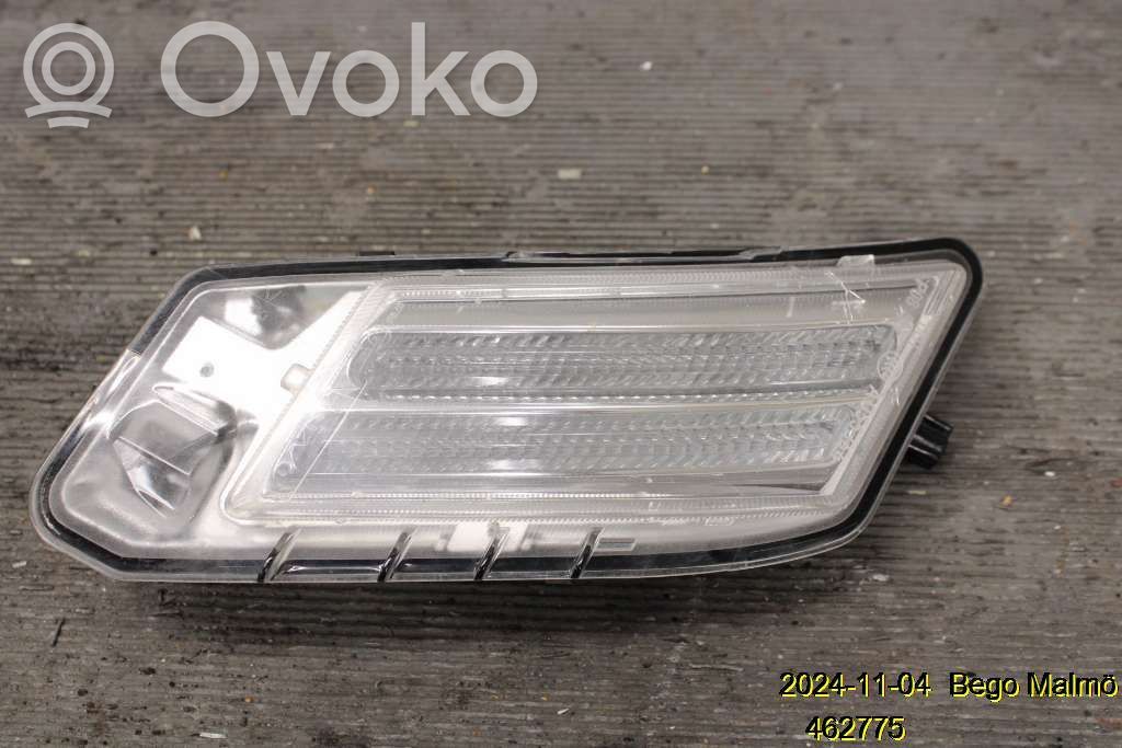 Frontblinker   31290874