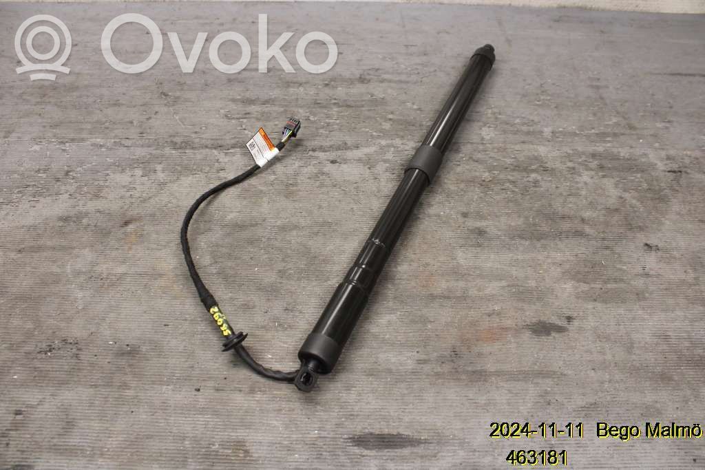 Tailgate strut   31455987