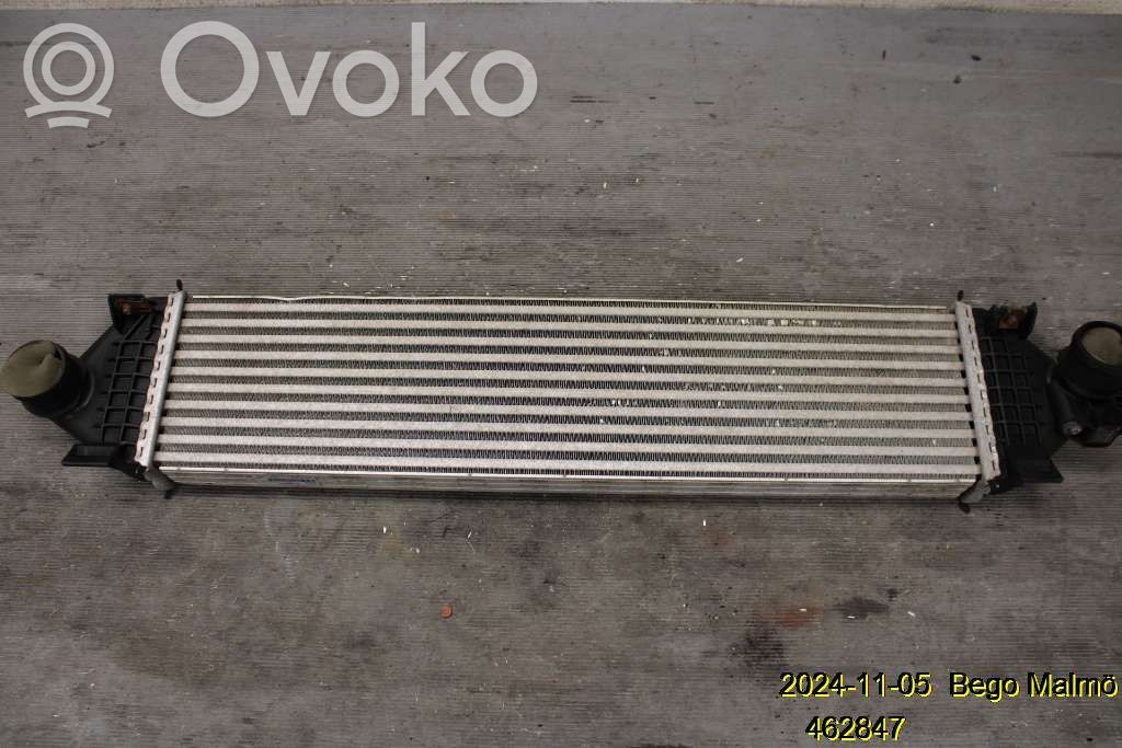 Interkūlerio radiatorius   31368270