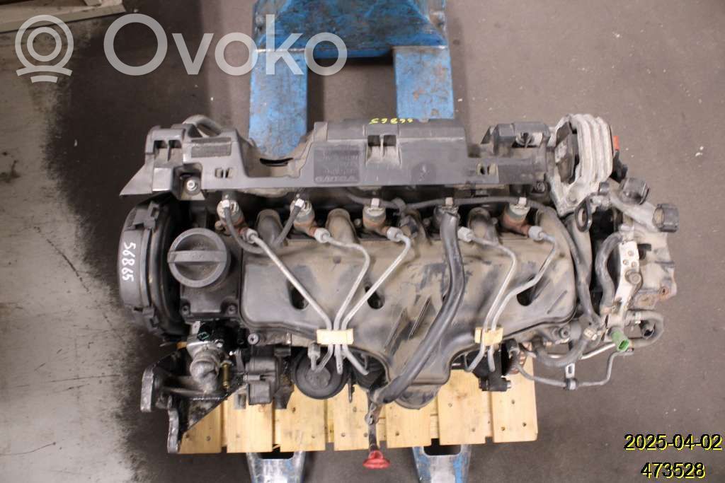 Variklis   36050449,6901083,D5244T4
