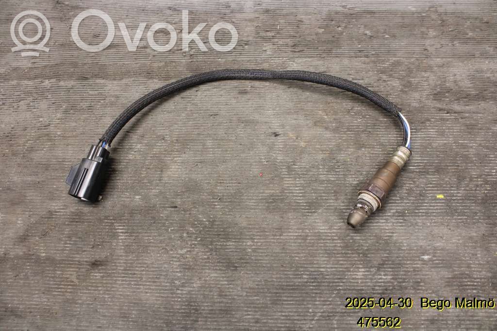 Sonde lambda   32253666,31439621