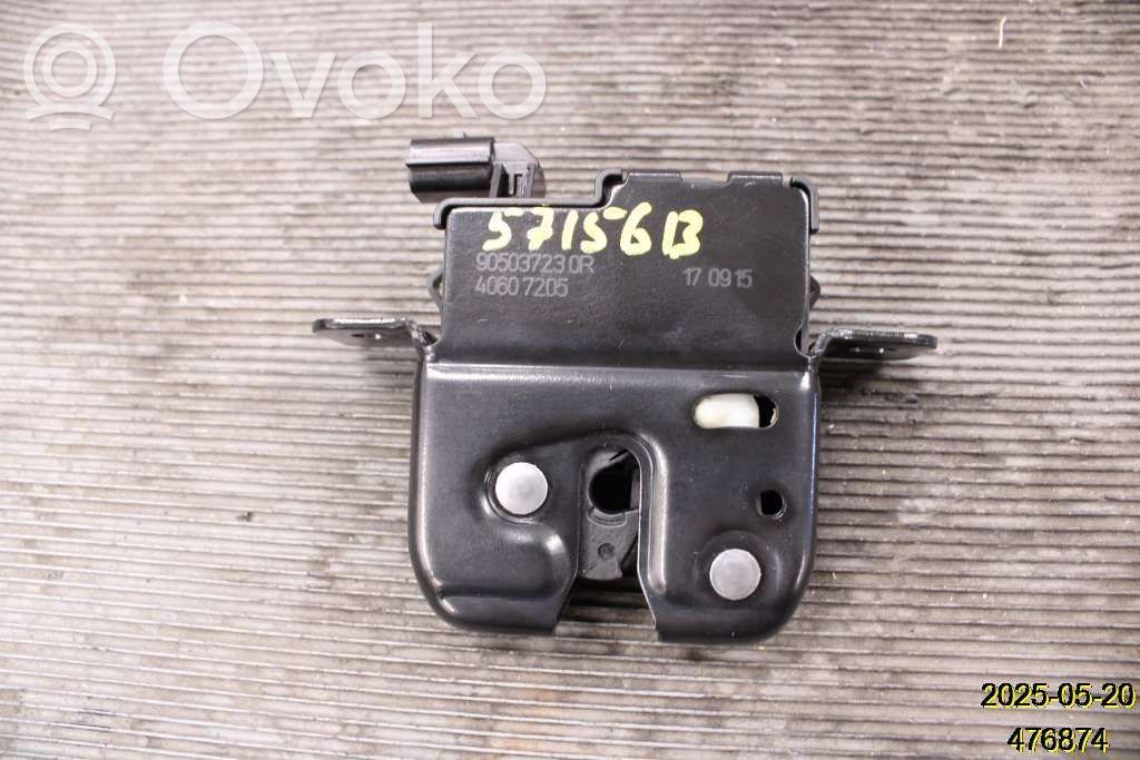 Dacia Duster Loading door lock 