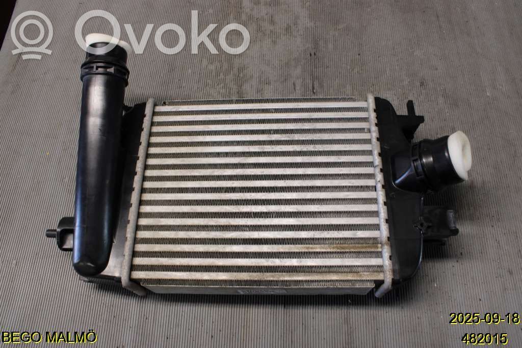 Interkūlerio radiatorius   144961019R