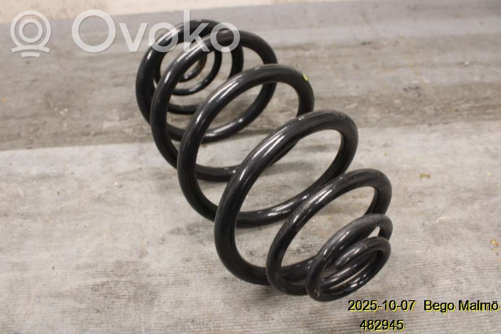 Renault Kangoo II Rear coil spring 