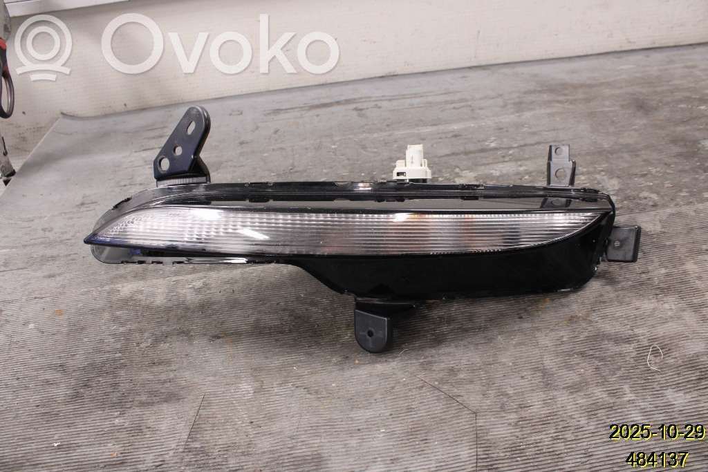 Frontblinker   261306376R