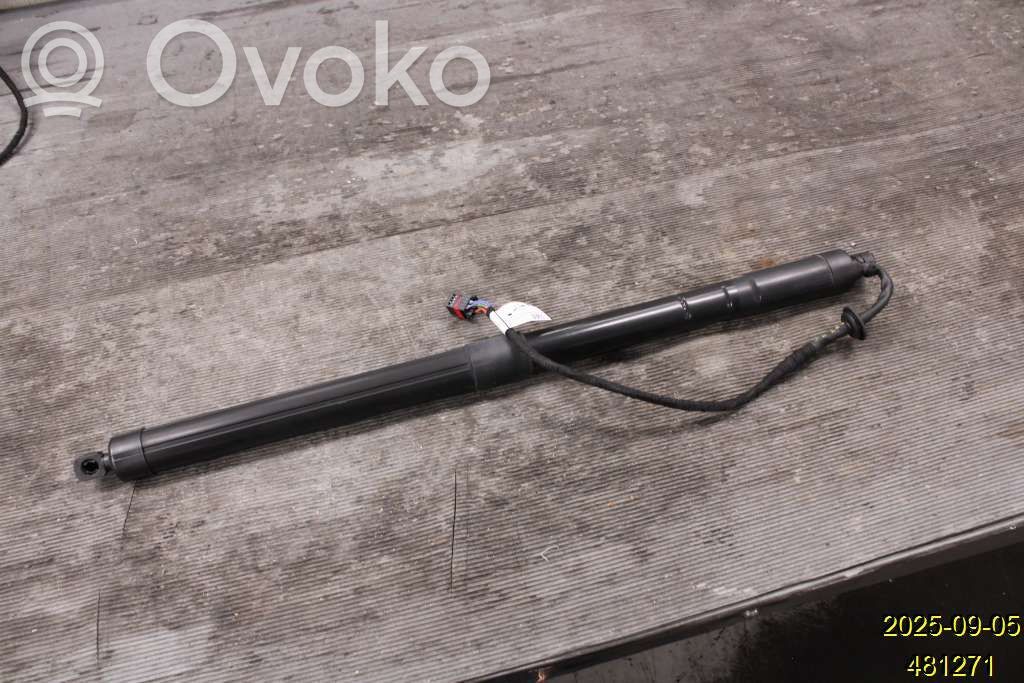 Tailgate strut   31455987