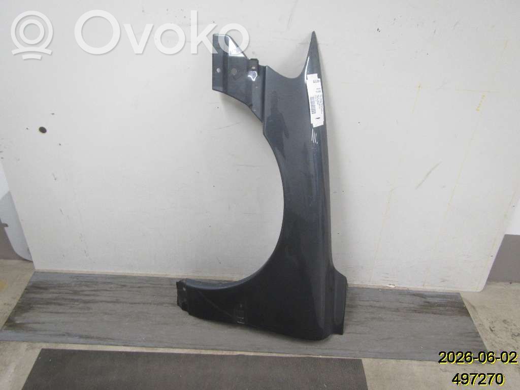 Parafango   30796492