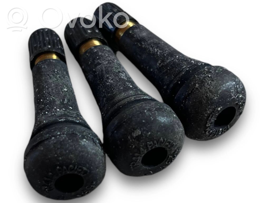 Kėbulo modulis   5293331300