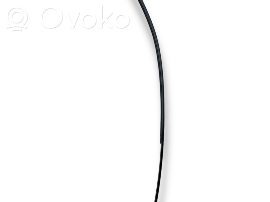 Kėbulo modulis   51767164952