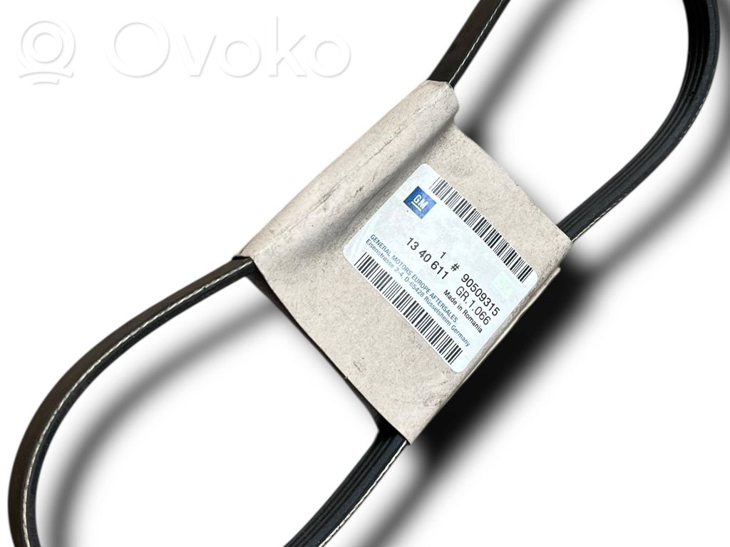Generatoriaus diržas   D665,90509315