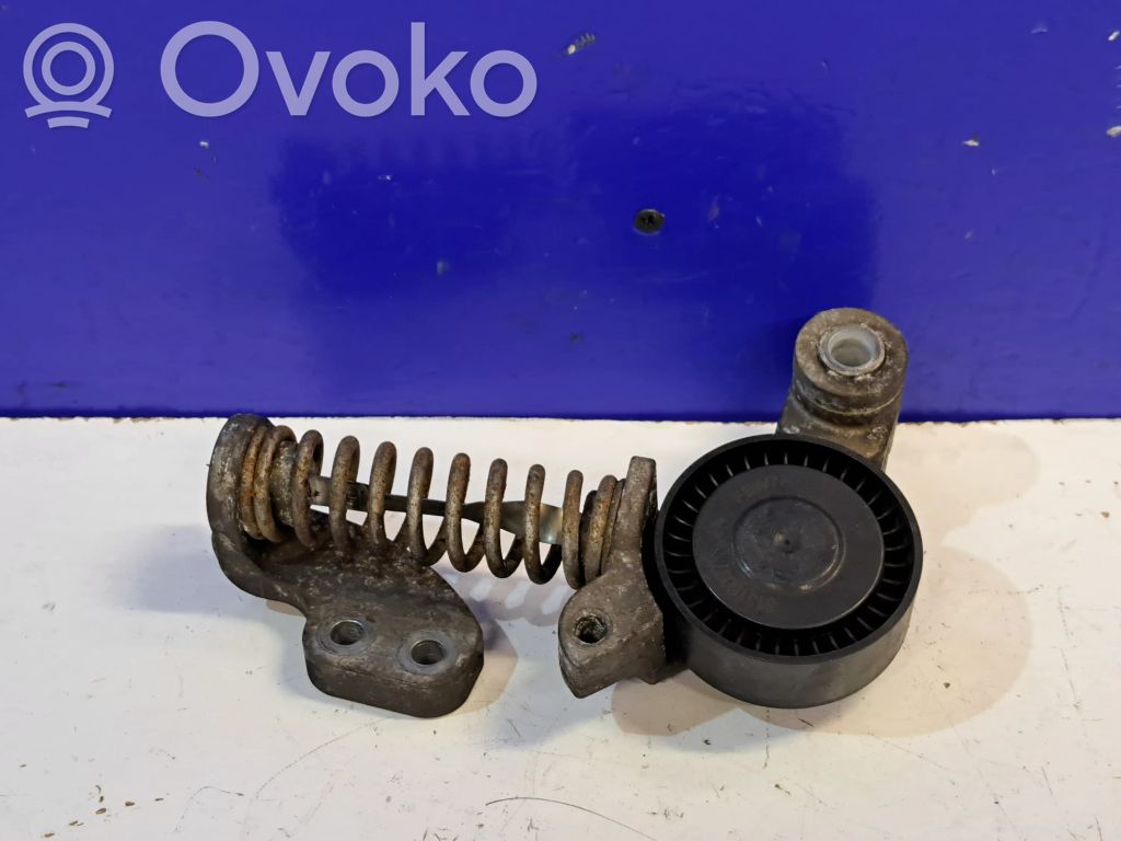 Diržo įtempėjas   31460372,31339830,31316097