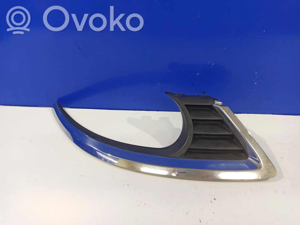 Front grill   12758674