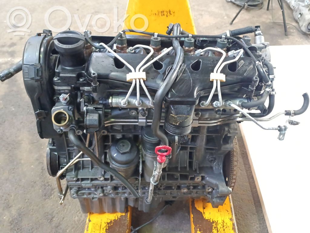 Engine   D5244T,6901083,339356
