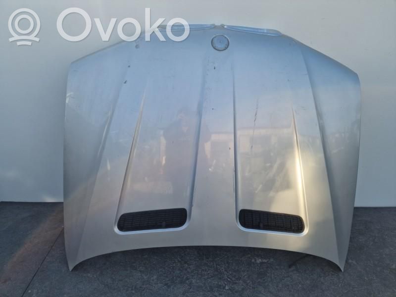 Capó/tapa del motor   41617008328