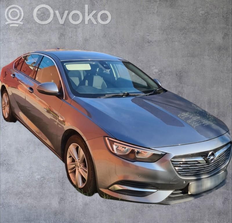 Opel Insignia B Durvis 