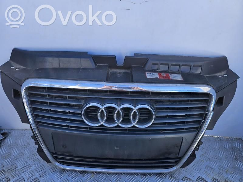 Audi A3 S3 8P Front bumper upper radiator grill 