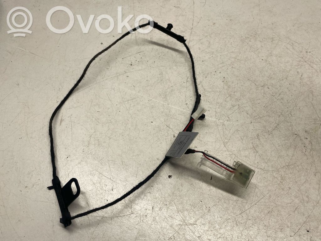 BMW X5 E70 Front door handle light (exterior) 