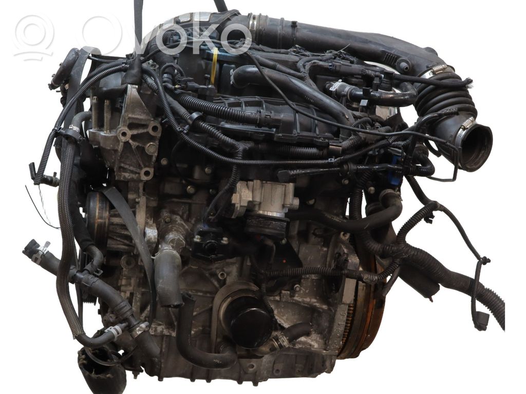 Ford Kuga II Engine 