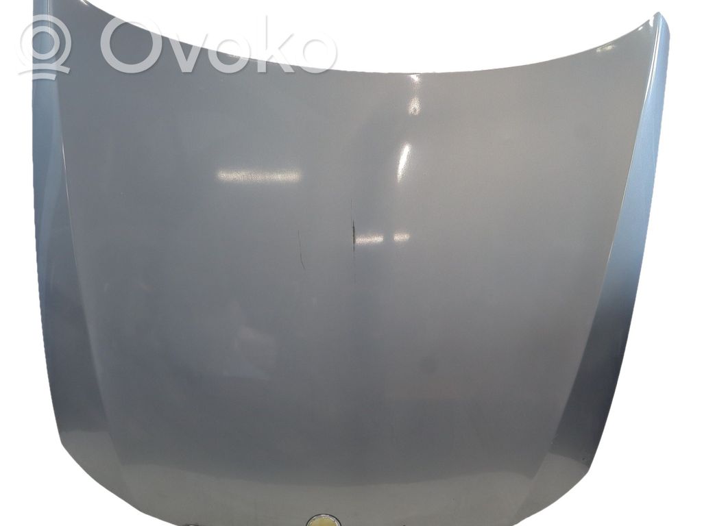 Capó/tapa del motor   41617140729