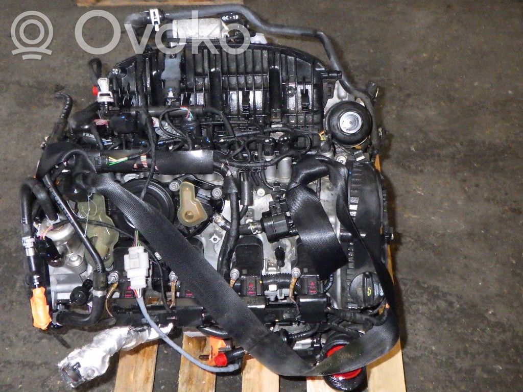 Audi A4 S4 B9 Engine 