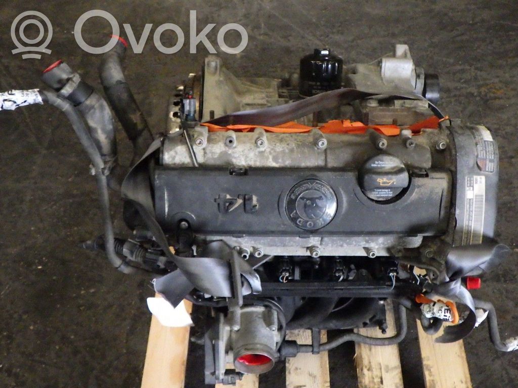 Skoda Fabia Mk2 (5J) Motor 