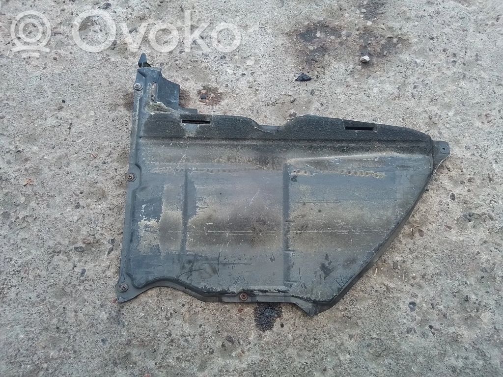 BMW 3 E46 Variklio dugno apsauga 
