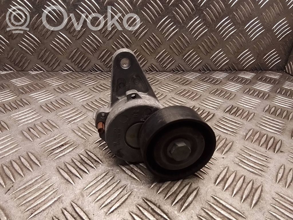 Skoda Octavia Mk4 Întinzător curea generator/alternator 