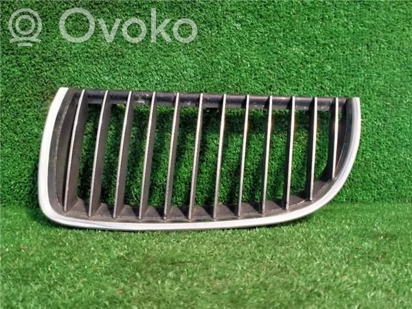 Front bumper lower grill   BM070181
