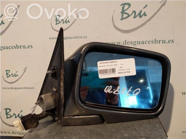 Manual wing mirror   GRIS