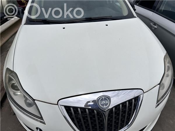 Engine bonnet/hood