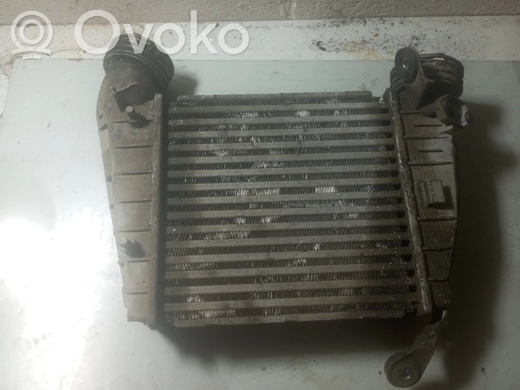 Volkswagen Phaeton Intercooler radiator 