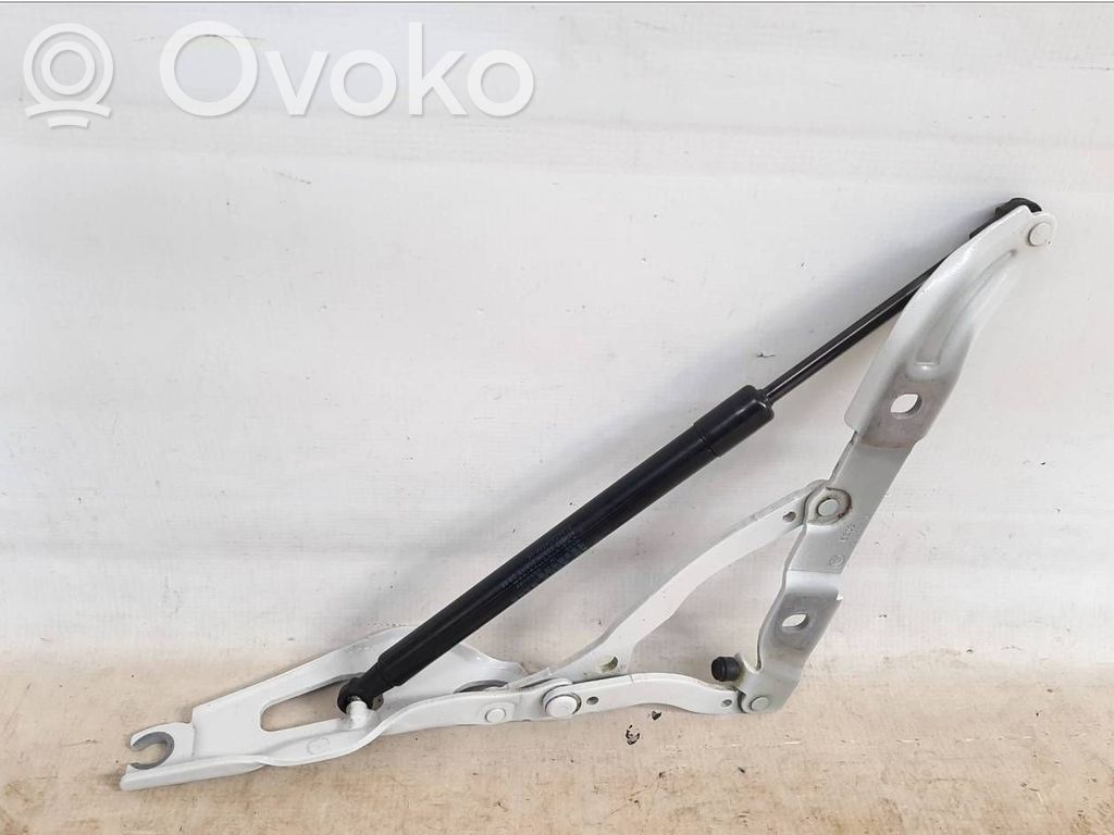 BMW 2 F22 F23 Cerniera portellone posteriore/bagagliaio 