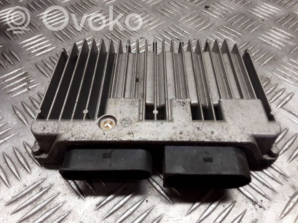 Dzinēja vadības bloks   7516809,412265001,7516207