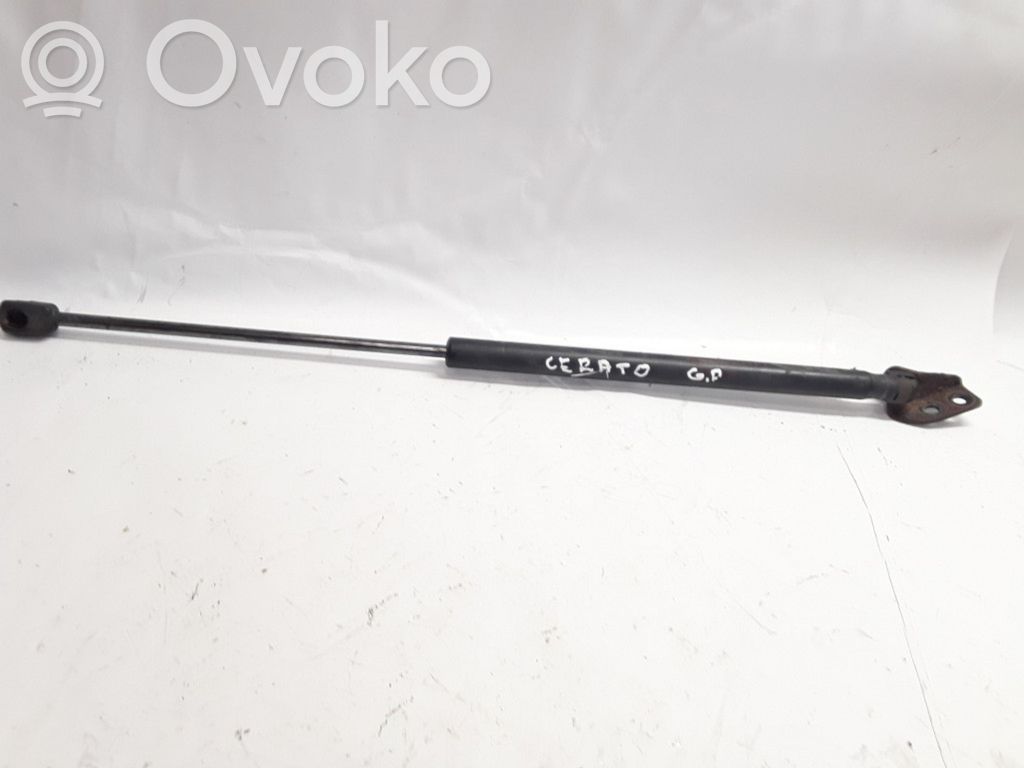 KIA Cerato Tailgate/trunk strut/damper 