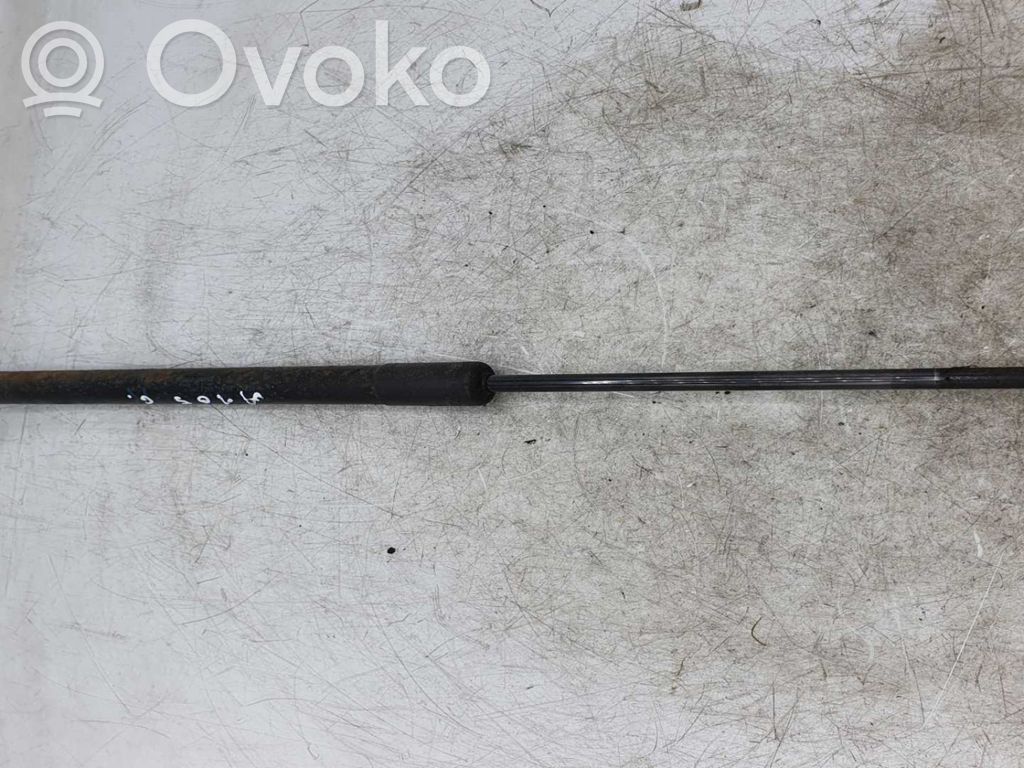 Tailgate/trunk strut/damper   NOCODE
