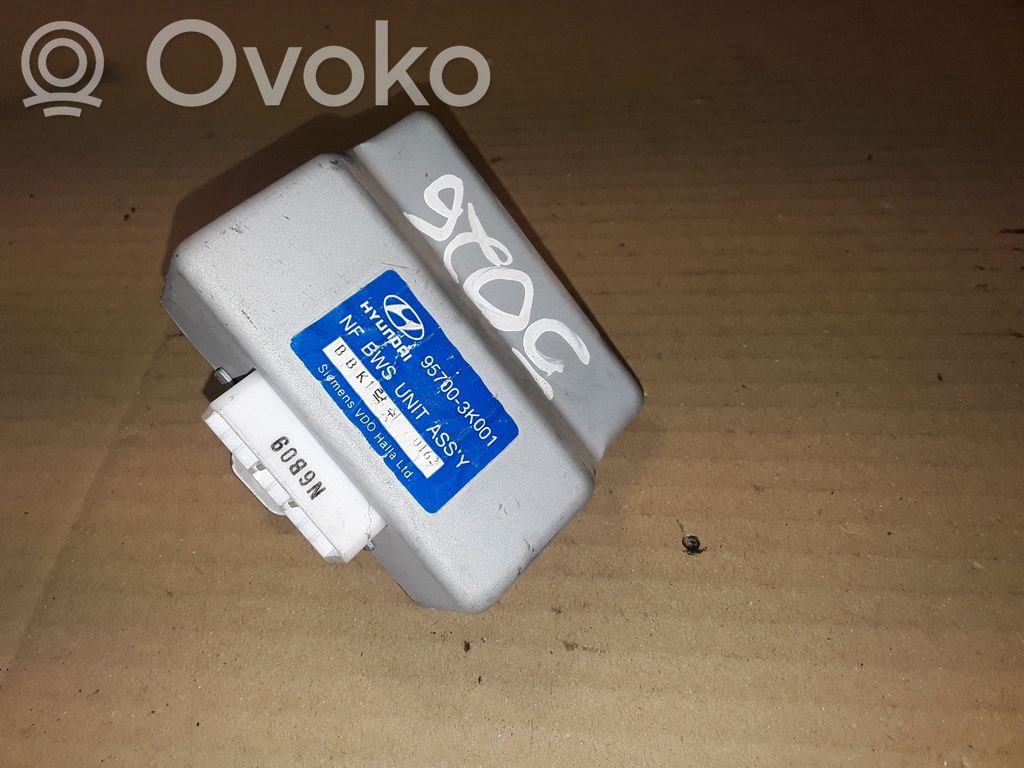 Hyundai Sonata Alte unități/module de control 