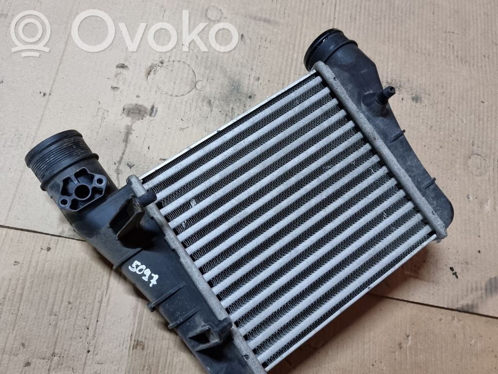 Seat Exeo (3R) Radiatore intercooler 