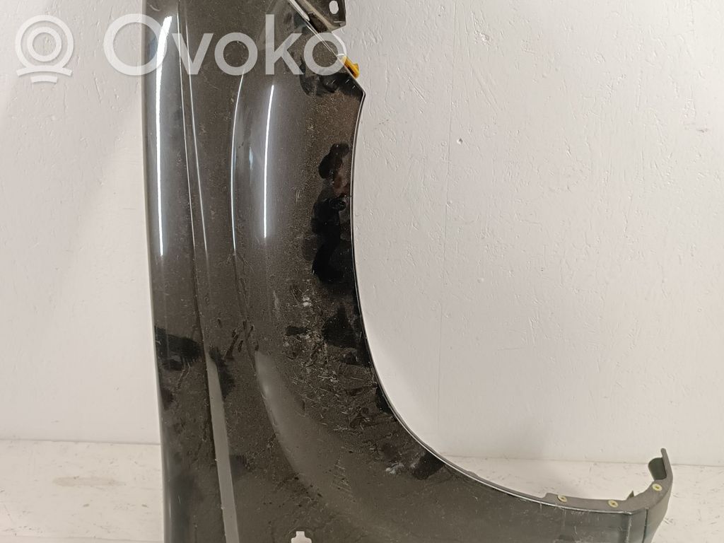 Parafango   NOCODE