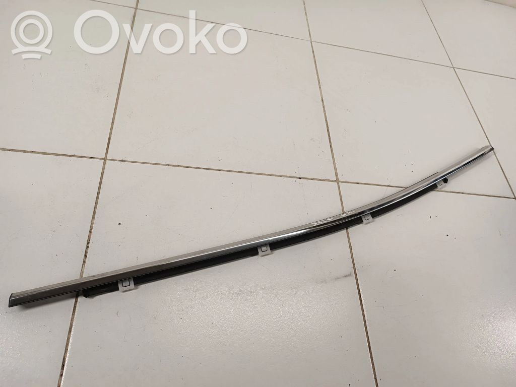 Hyundai Santa Fe Rear door glass trim molding 