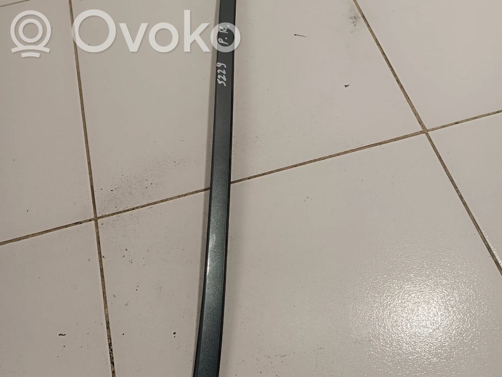 Front door trim (molding)   N0CODE