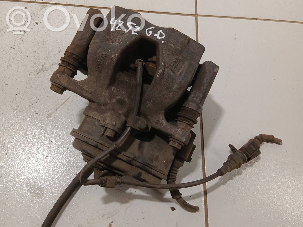 Takajarrusatula   8W0406AT