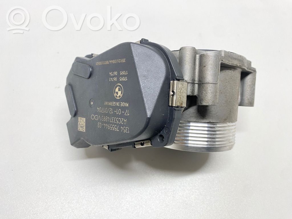 Throttle valve   7555944