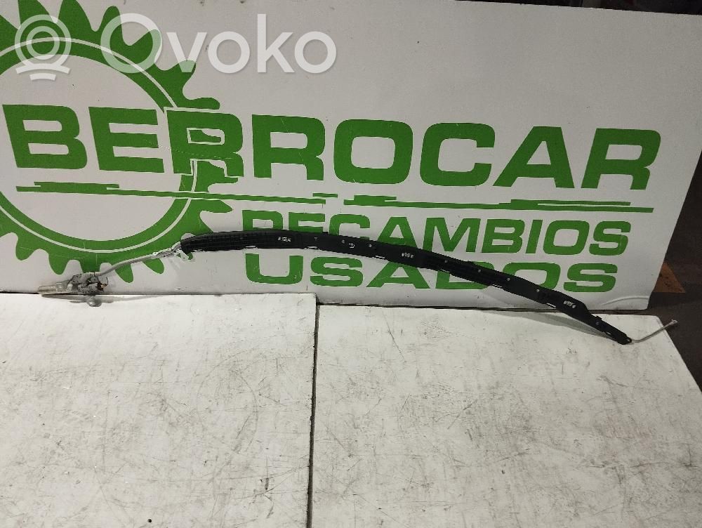 Ford Focus Airbag del techo 