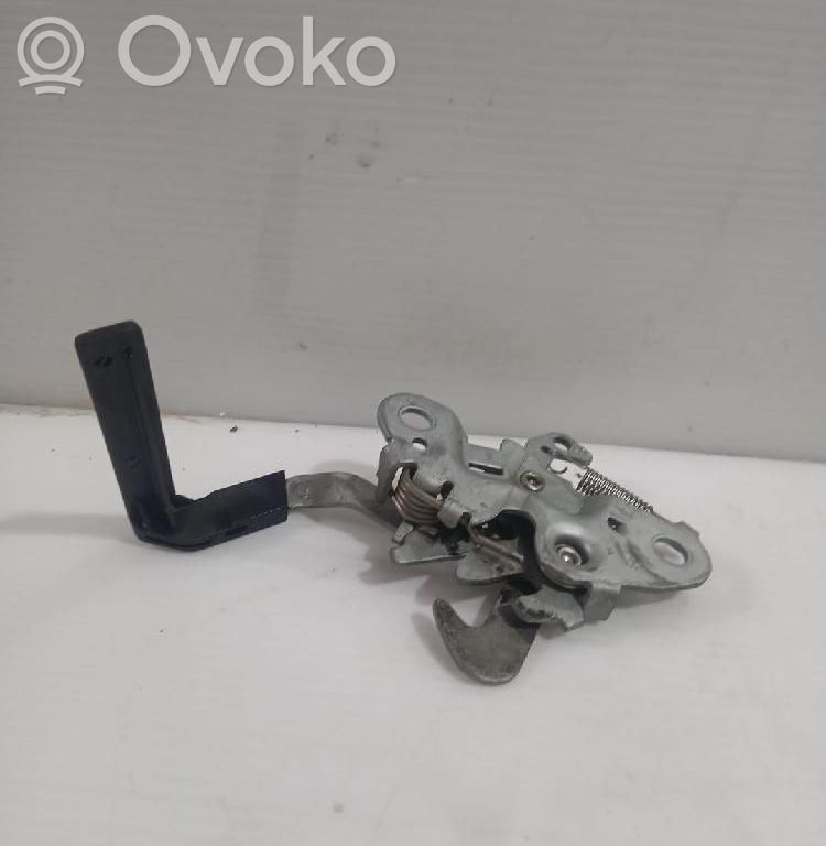 Tie down hook / loop   793468
